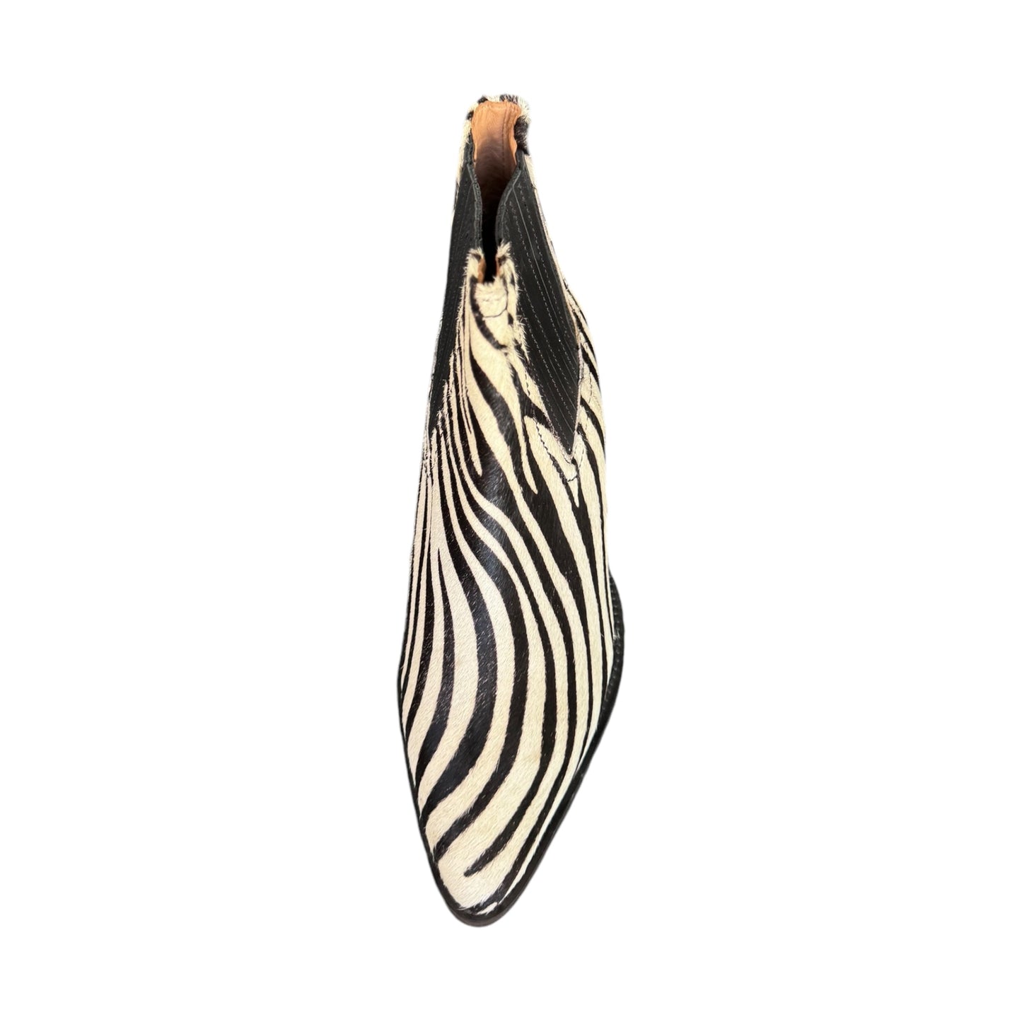 texani Zebra CORAL BLUE